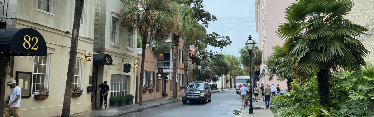 Palmetto trees, awnings, and historic buildings along Queen Street in downtown Charleston SC