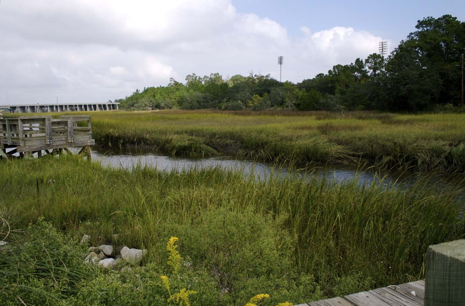Daniel Island master-planned community near Charleston