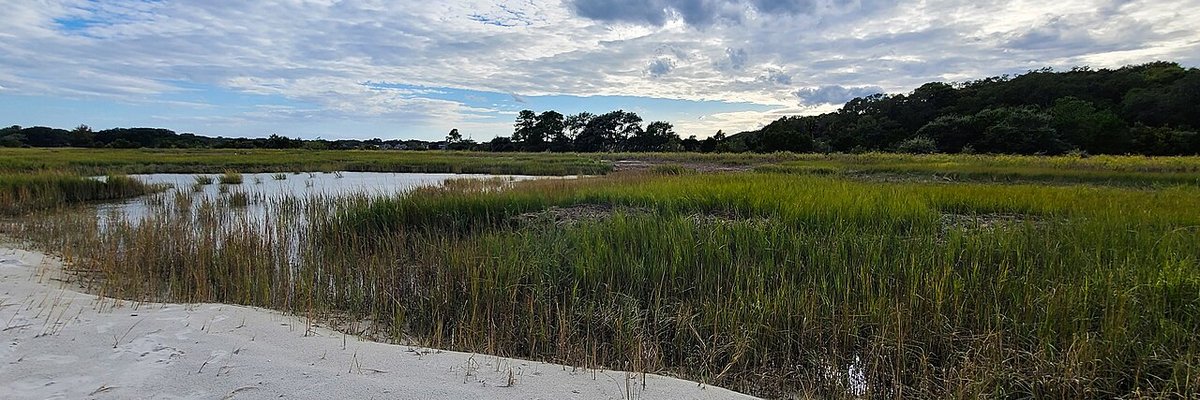 Tidal marsh and creek bordering Dunes West, Mount Pleasant SC