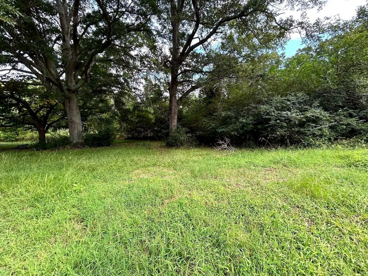 Yard and wooded edge on ~0.91 acre at 486 Scott Road